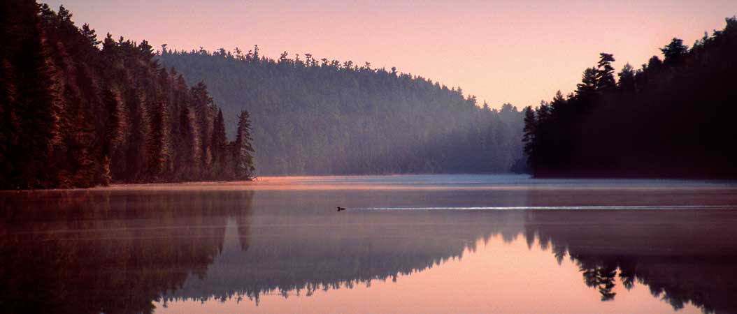 jb_home_lake_loon_wide